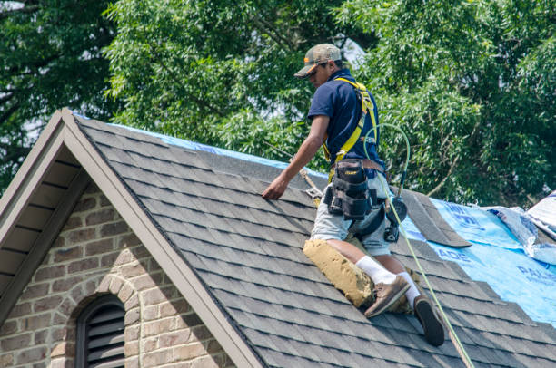 Best Roof Gutter Cleaning  in Bnchard, LA